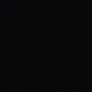 Meet your Posher, Everett